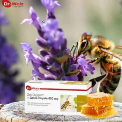 Dr. Wolz Gelee Royal-Zell Oxygen + Gelee Royale 600 mg Trinkampullen, 14X20 ml