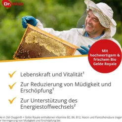Dr. Wolz Gelee Royal-Zell Oxygen + Gelee Royale 600 mg Trinkampullen, 14X20 ml