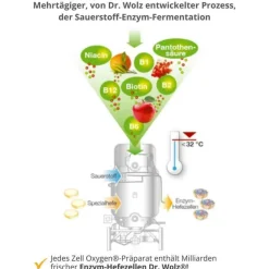 Dr. Wolz Gelee Royal-Zell Oxygen + Gelee Royale 600 mg Trinkampullen, 14X20 ml