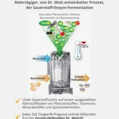 Dr. Wolz Zell Oxygen plus flüssig, 250 ml- Enzyme