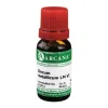 Zincum metallicum LM 6 Dilution, 10 ml^Arcana Sale
